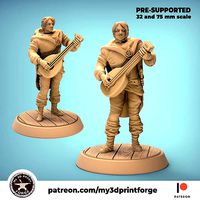Bard Half Elf 32 and 75mm scale Pre-Supported | 3D