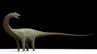 Diplodocus