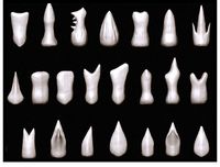 SFDEMIR Teeth IMM Brushes
