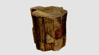 3D scanned petrified wood