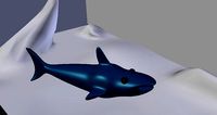 shark blender animation