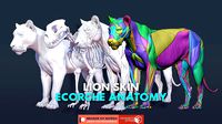 Animal - Lion Anatomy Skin Ecorche Body Base