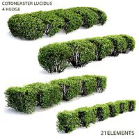 Cotoneaster lucidus hedge Pack 01
