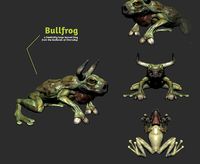 Bullfrog