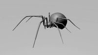 Black widow spider 3d model