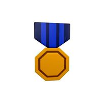 Medal v7 003