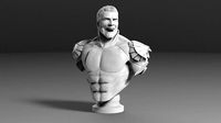 Homelander Bust | 3D