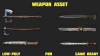 Weapon Asset