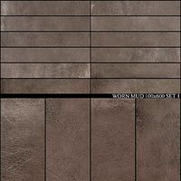 Ariana Ceramica Worn Mud 100x600 Set 1