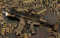 scar L