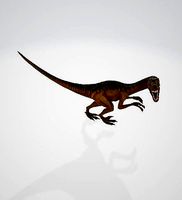 velociraptor