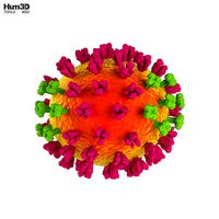 Flu Influenza Virus