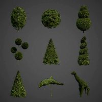 2021 PBR False Cypress Bushes Collection - Chamaecyparis