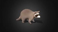 Low Poly Racoon - Idle Animated