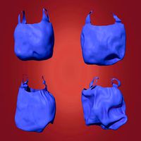 Plastic Sacks Debris