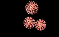 Animated virus