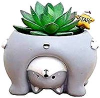 Racoon planter - STL for 3D Printing | 3D