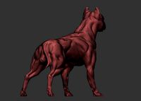 American pitbull terier with tail on leg | 3D