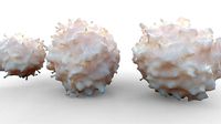 Lymphocytes