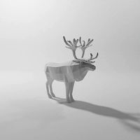 Reindeer | 3D