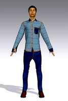 printed shirt with denim jeans | 3D