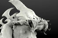 Dara Amadyura from Monster hunter 4 ultimate | 3D