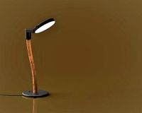 Desk light portable