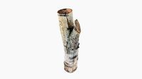 Log Birch