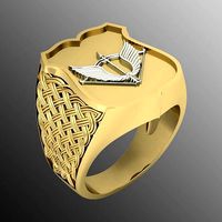 Ring sp11 | 3D