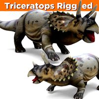 Wild Triceratops Rigged 3D Model