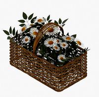Basket with a bouquet of camomiles