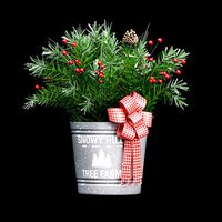 Cristmas Decorations