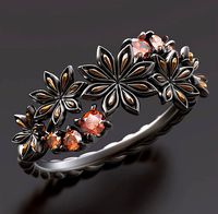 Spicy mulled wine ring | 3D
