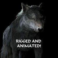 Grey wolf rigged and animated and polar light