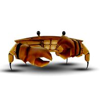 3D Crab