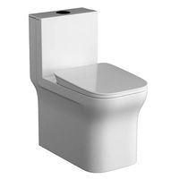 One piece EWC toilet 3D model Modeled in 3ds max