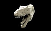Allosaurus head intended for 3D printing | 3D