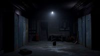 Basement Environment
