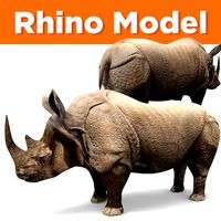 3D rhino rhinoceros realistic Model