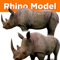 Rhino 3D Models game ready