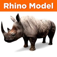 Dirty Realistic Rhino 3D Models