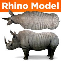 3D rhino rhinoceros realistic low poly