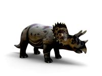 Realistic Triceratops 3D Models game ready