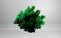 Ghibli tree model | 3D