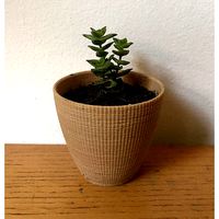 Landy vase - Striped 1 | 3D
