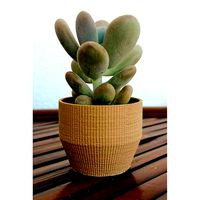 Landy vase - Striped 6 | 3D