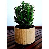 Landy vase - Striped 5 | 3D