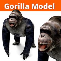 Gorilla 3D Models game ready low poly