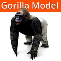 3D Model Gorilla game ready