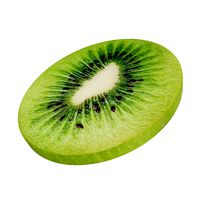 Kiwi round slice peeled